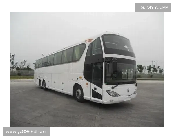 亚星YBL6148H2QP1详细参数配置与性能评测,助你全面了解这款设备的优势与不足