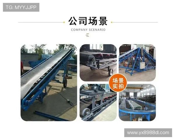 深入了解亚星官网的功能与服务项目介绍